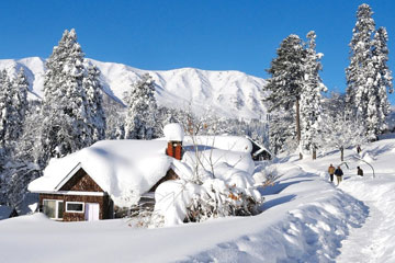 Chandigarh Patnitop Pahalgam Srinagar Gulmarg Sonmarg Tour Package