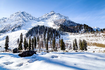 Chandigarh Patnitop Pahalgam Srinagar Gulmarg Sonmarg Tour Package